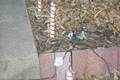 Click to display the file, 99-candycane-connections.jpg