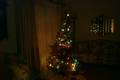 Click to display the file, 99-inside-christmastree.jpg