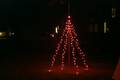 Click to display the file, 99-red-tree1.jpg