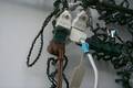 Click to display the file, 99-toymachine-dayback-cordrepair.jpg