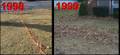 Click to display the file, cord-comparison-98-99-b.jpg