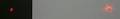 Click to display the file, corocomparison-red1.jpg